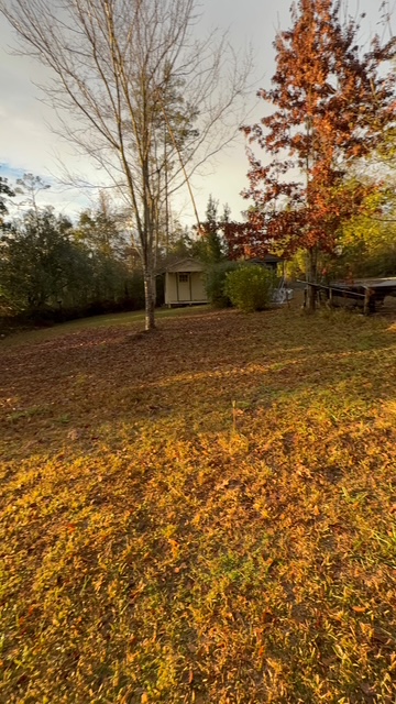 Fenced backyard yard with storage shed
